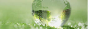 26c7adf2cfclose up crystal globe resting grass forest